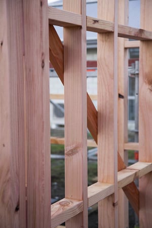 NZ-Boric-Treated-Pine-Framing